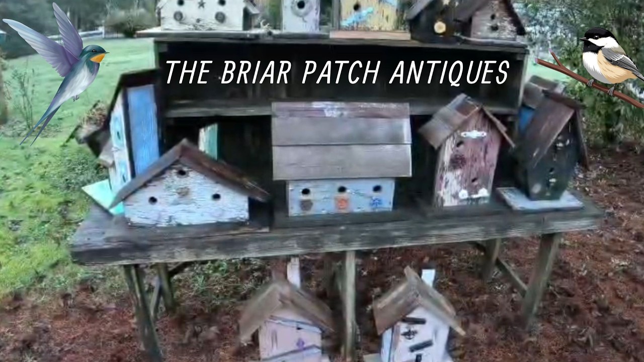 The Briar Patch Antiques  - Birdhouses