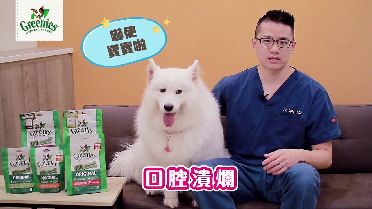【健綠潔牙骨】狗狗口臭？厭食？其實是牙周病？！feat.原典-孫全獸醫師