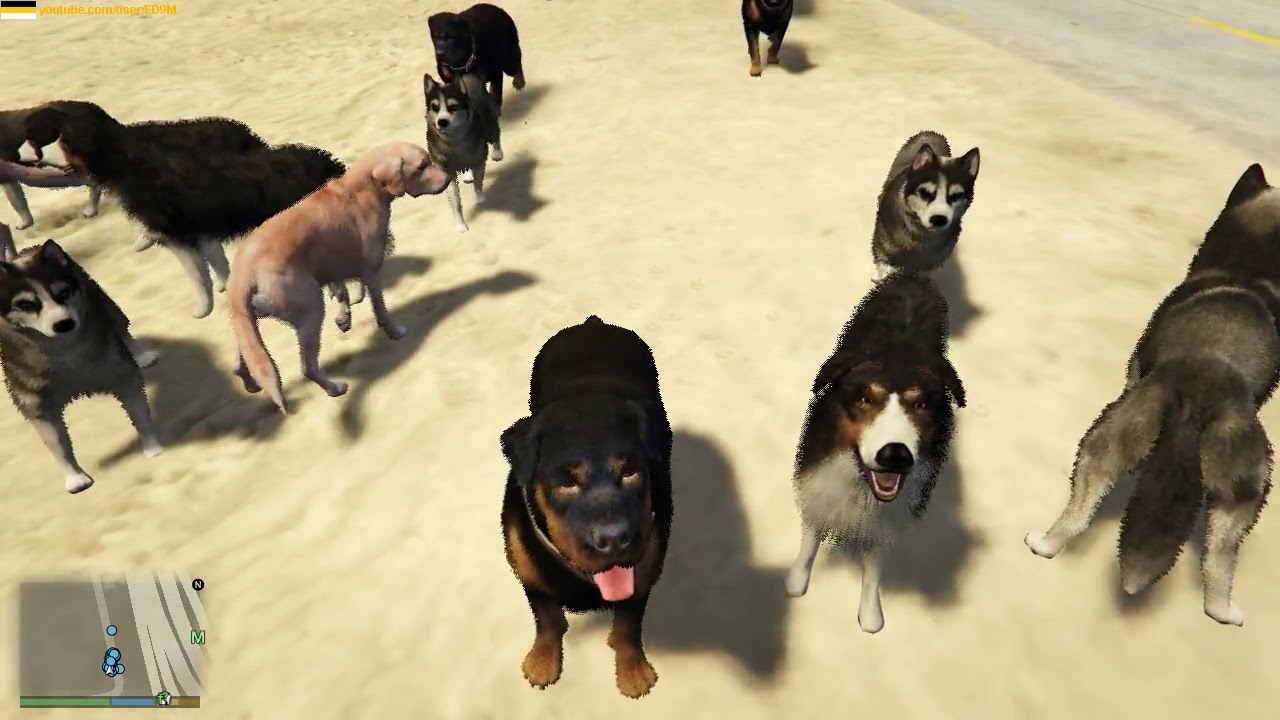 GTA 5 - Dogs as Bodyguards 1.5