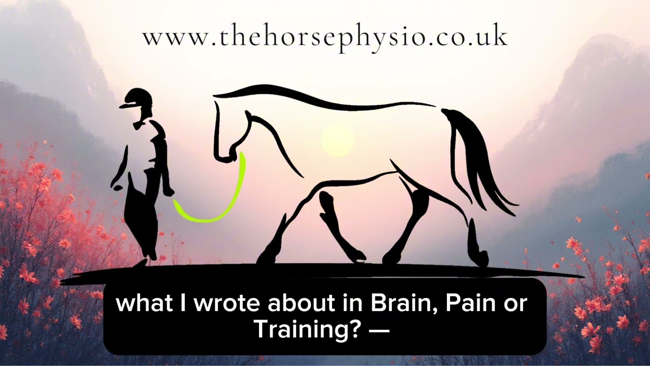 From Poll to Tail: Understanding Spinal Flow in the Equine Athlete