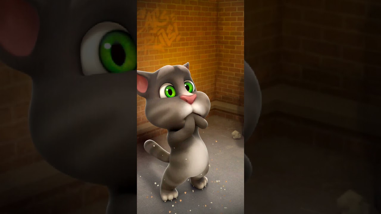 Talking Tom Cat New Video Best Funny Android GamePlay #11786