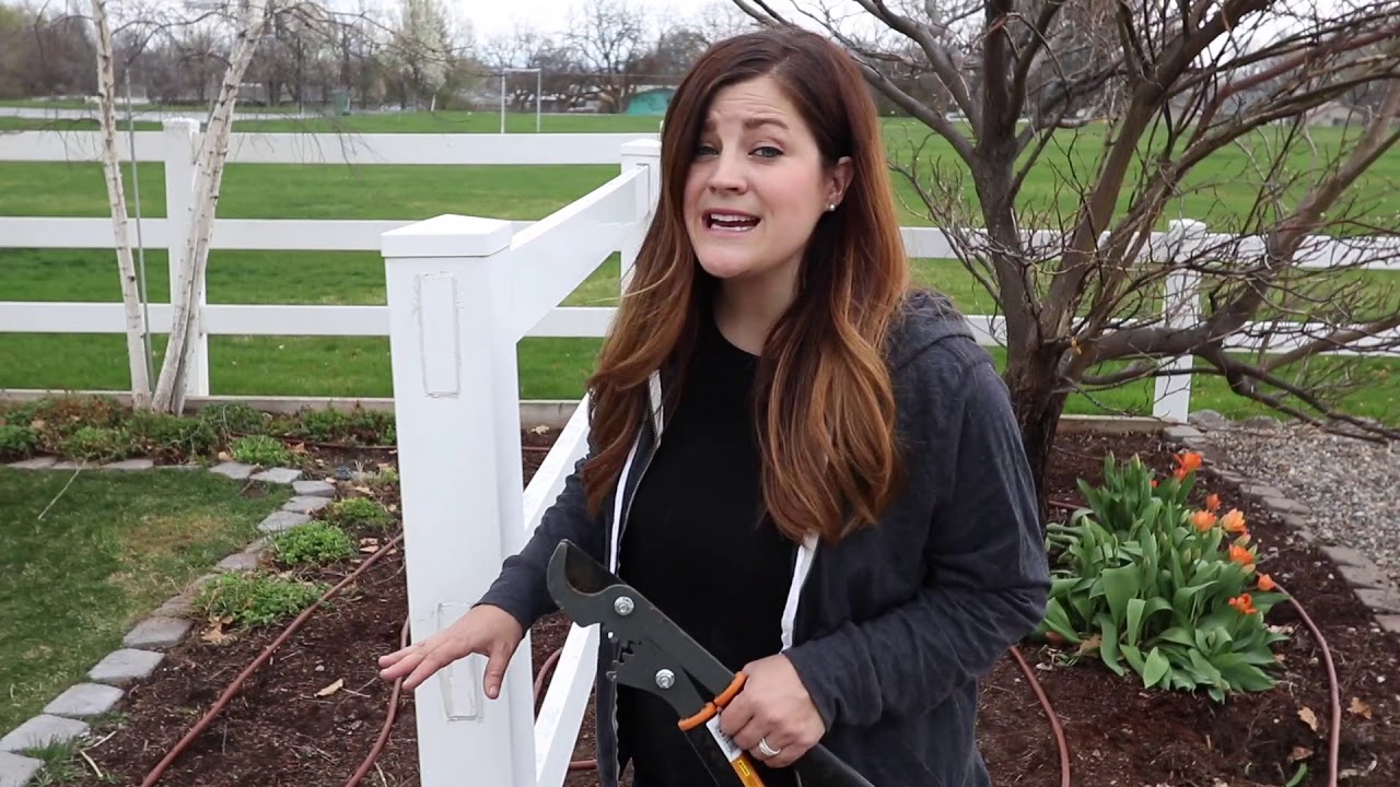 5 Tips for Creating a New Flowerbed | Proven Winners Landscape Guide