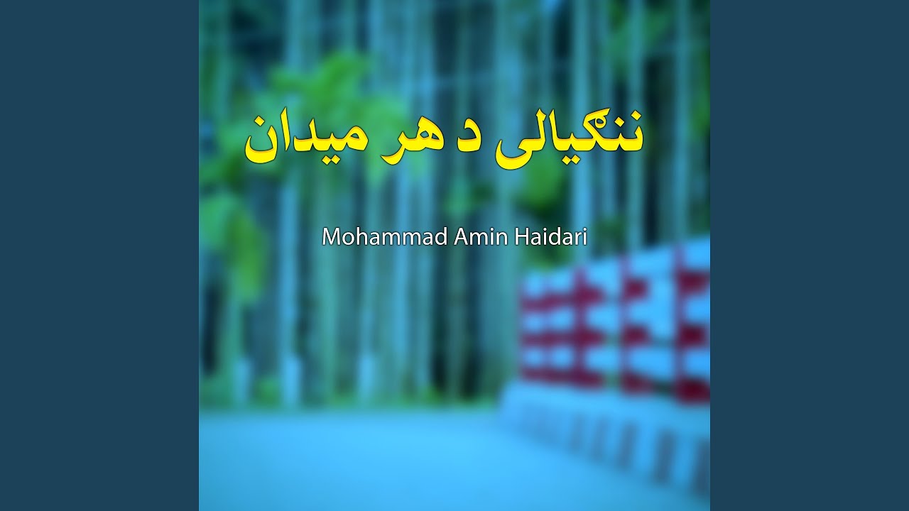 ننګیالی د هر میدان