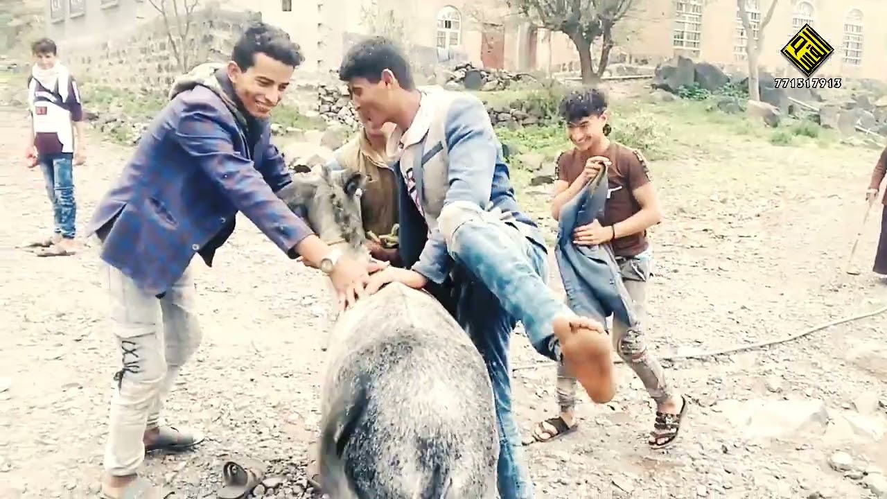 طفران وعايف حالي 2021