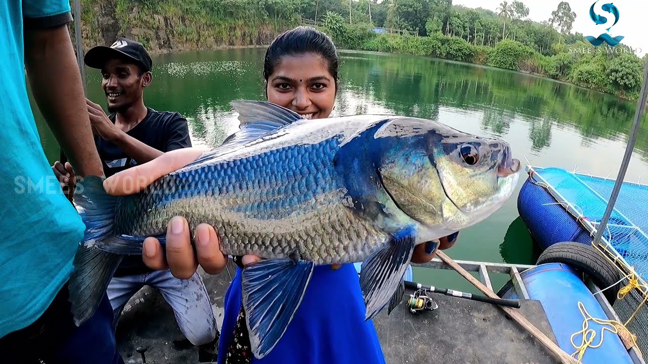 🔥പാറമടയിലെ വീരന്മാരെ തളച്ചപ്പോൾ || PARAMADA FISHING||heavy carp fishing||smeesworld ||fishing video