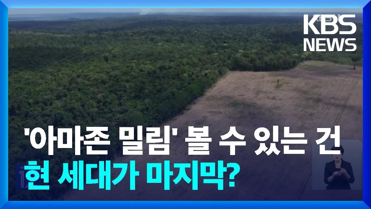 ‘아마존 밀림’ 볼 수 있는 건 현 세대가 마지막? [기후는 말한다] / KBS  2023.06.29.