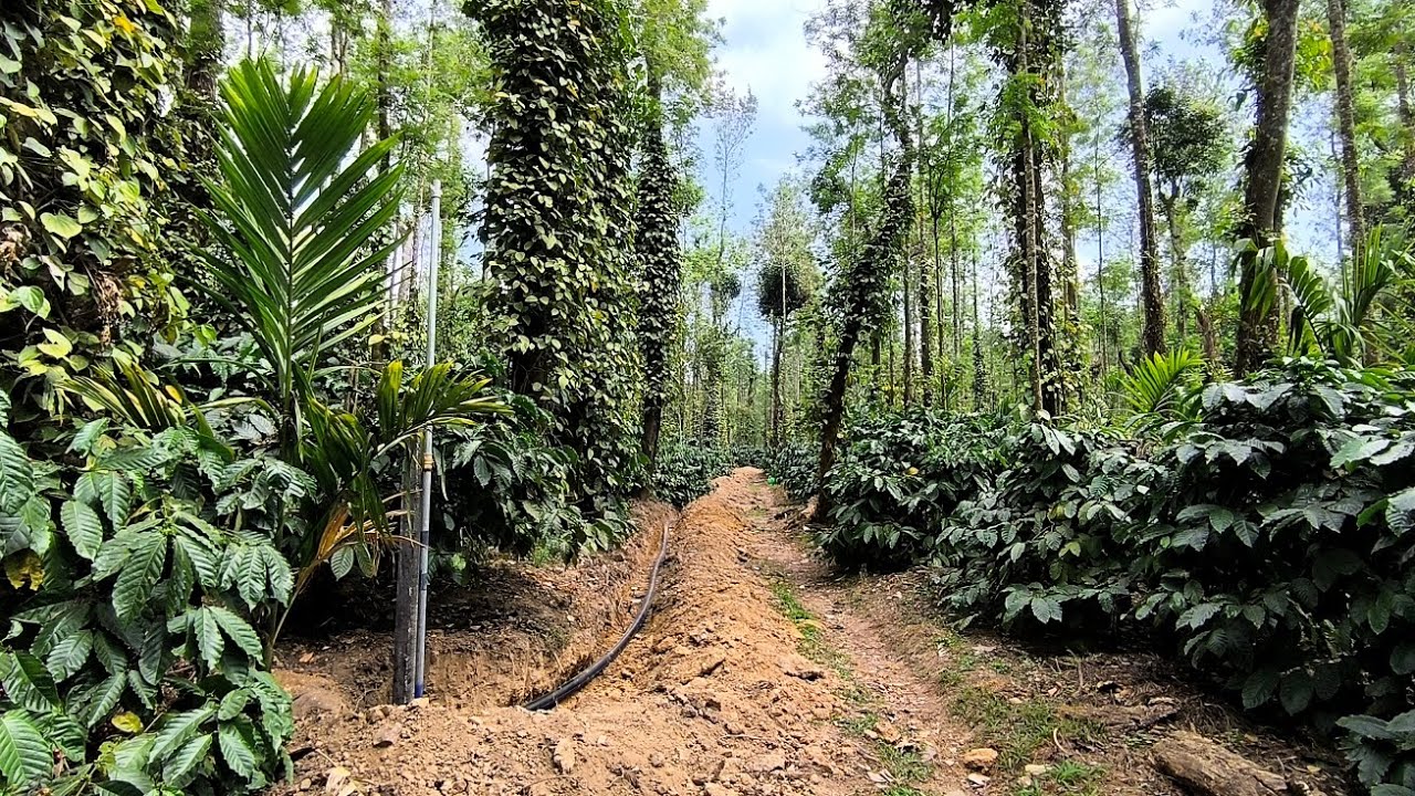 spot jet irrigation and installation