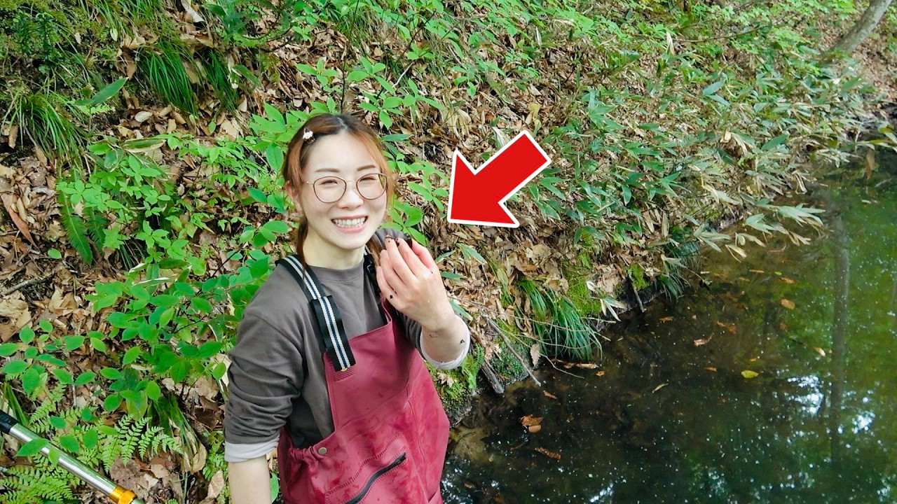 絶滅危惧種にもなっていて限られた場所で生きるとても貴重な水生昆虫採集が過酷すぎた＃ガサガサ