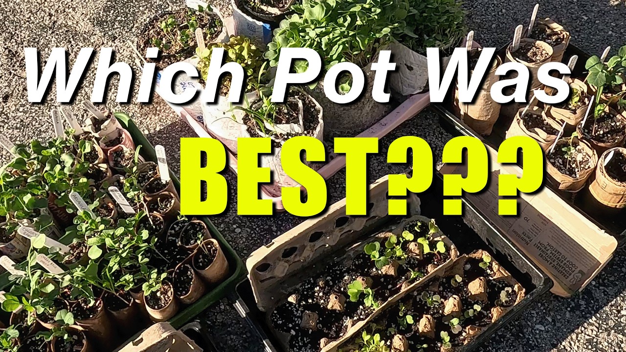 Earth Friendly Pots-Part 2
