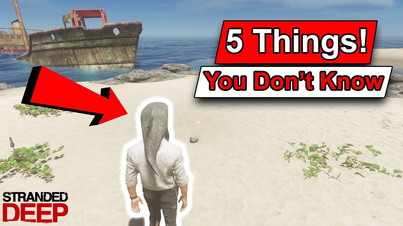 Stranded Deep — 5 вещей, которые вы могли не знать