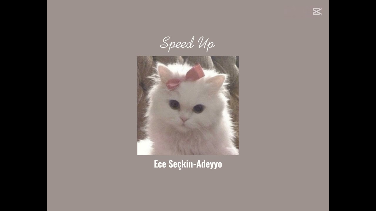 Ece Seçkin - Adeyyo (speed up) ♡