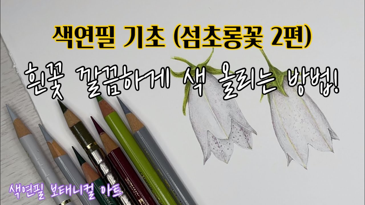 색연필 기초/섬초롱꽃 2편/흰꽃 색연필로 깔끔하게 색 올리는 방법/색연필 보태니컬 아트/colored pencil drawing/Botanical art
