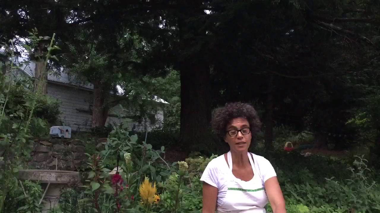 Episode 3. A Question From Debbie.