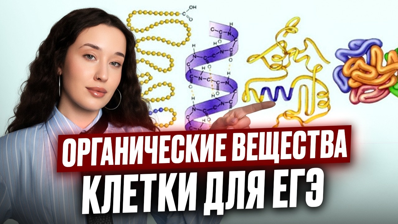 БИОЛОГИЯ С НУЛЯ! БЕЛКИ, ЖИРЫ, УГЛЕВОДЫ и НУКЛЕИНОВЫЕ КИСЛОТЫ для ЕГЭ по биологии