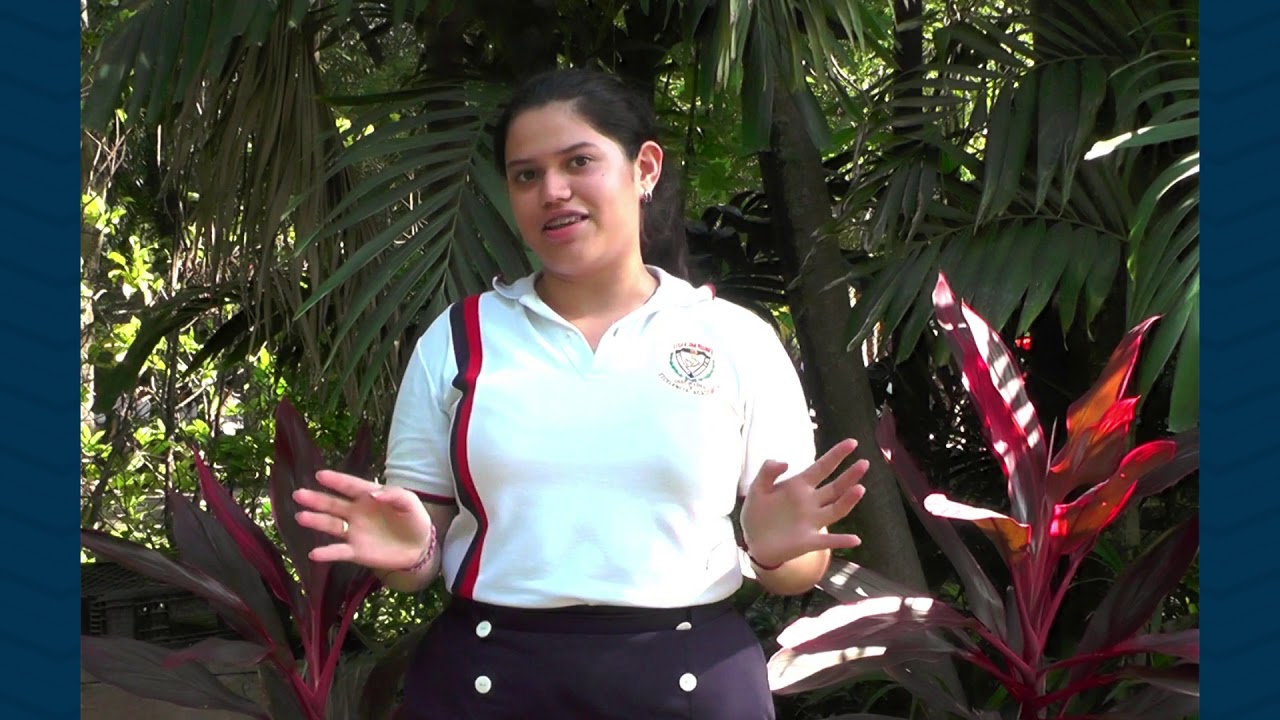 LICEO SAN MIGUEL
