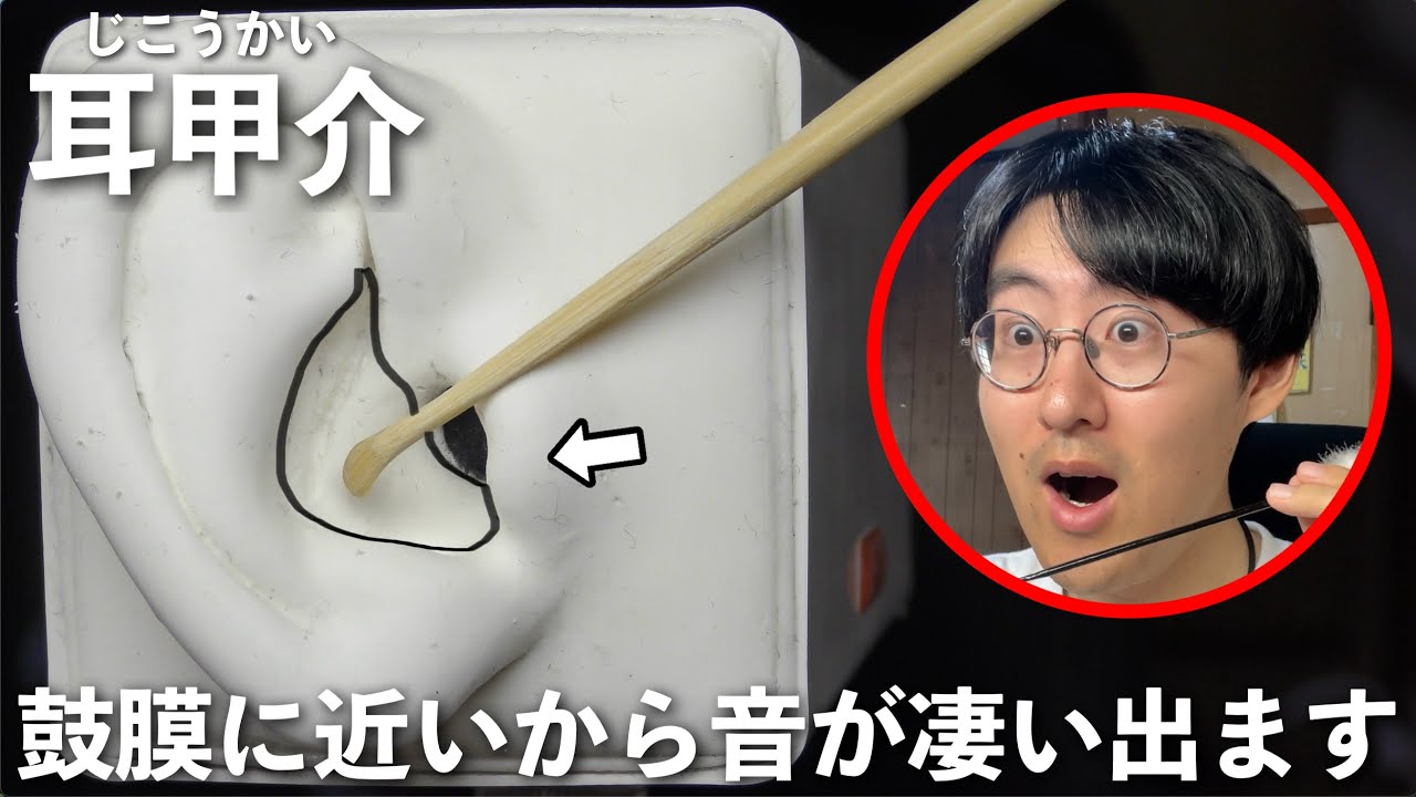 【ASMR】耳介の耳甲介（じこうかい）という溝の耳かきが最高に気持ちいい…