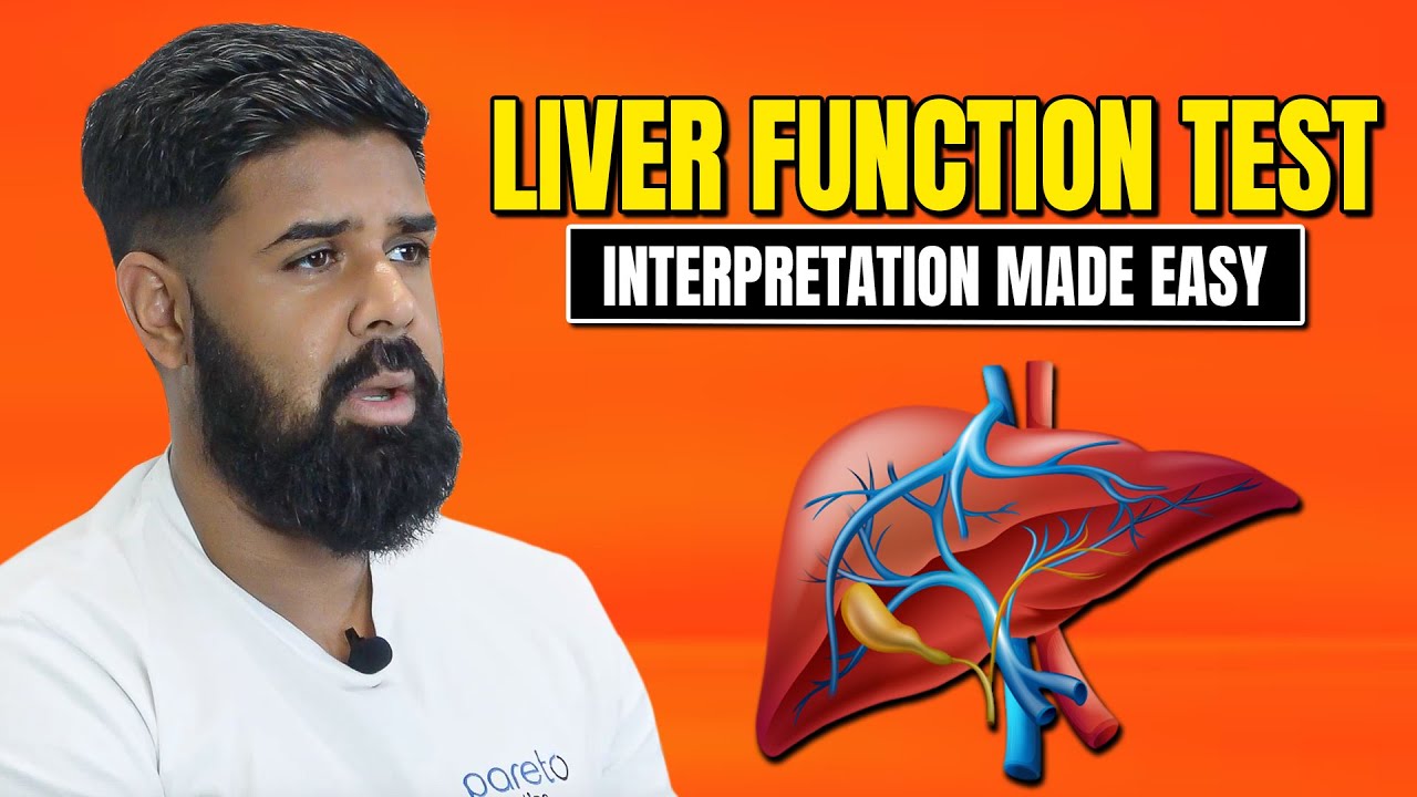 Упрощенная интерпретация результатов анализов функции печени на примерах | Pareto Education