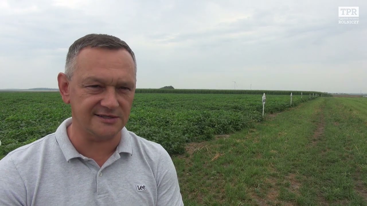 Czy uprawa soi się opłaca? 