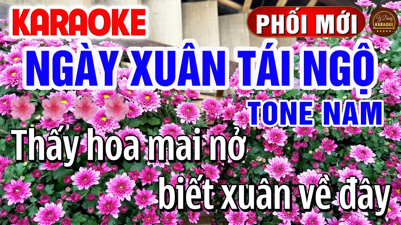 Ngày Xuân Tái Ngộ Karaoke Tone Nam Dễ Hát Nhạc Tết 2026 | Y Dung Karaoke