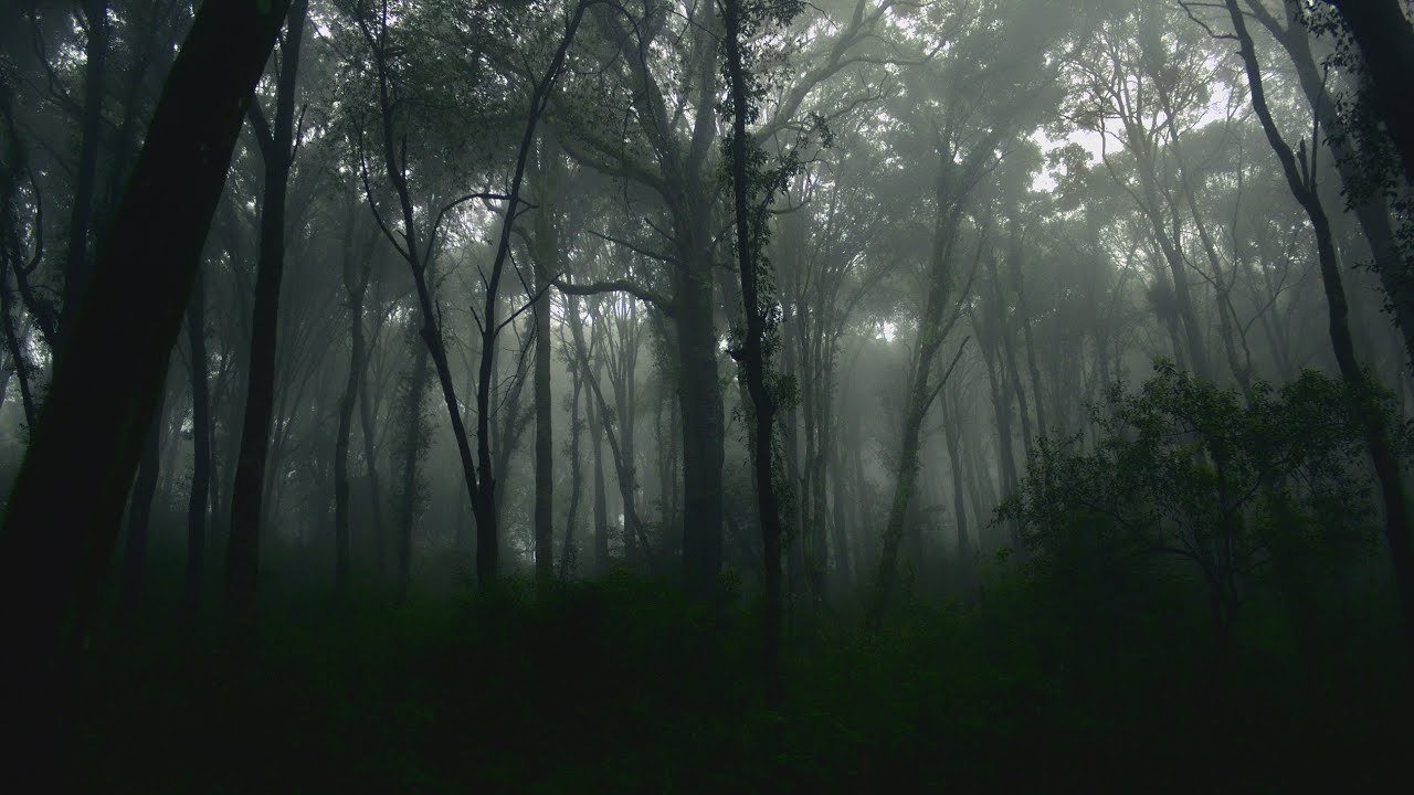 The Jersey Devil, Terror of the Pine Barrens | Podcast