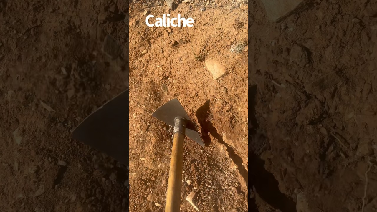 Tips for Finding Gold in the Desert 