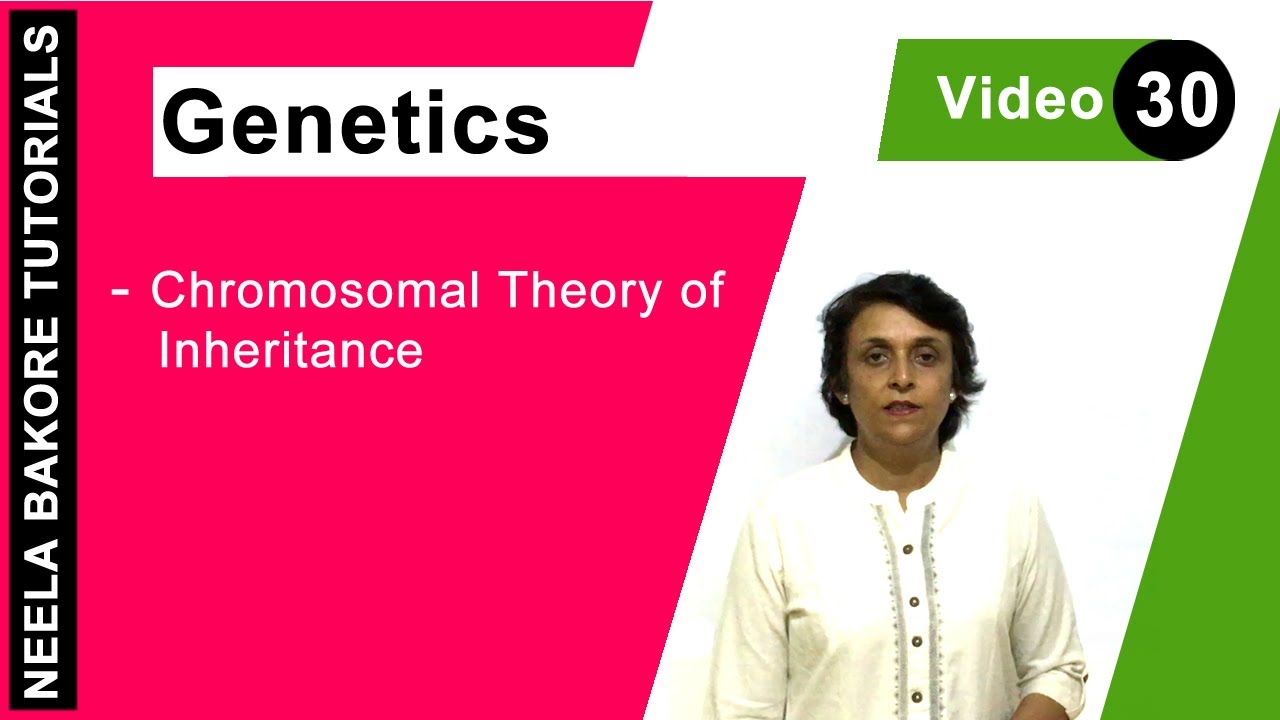 Genetics - Principles of Inheritance & Variations | NEET | Chromosomal Theory of Inheritance |