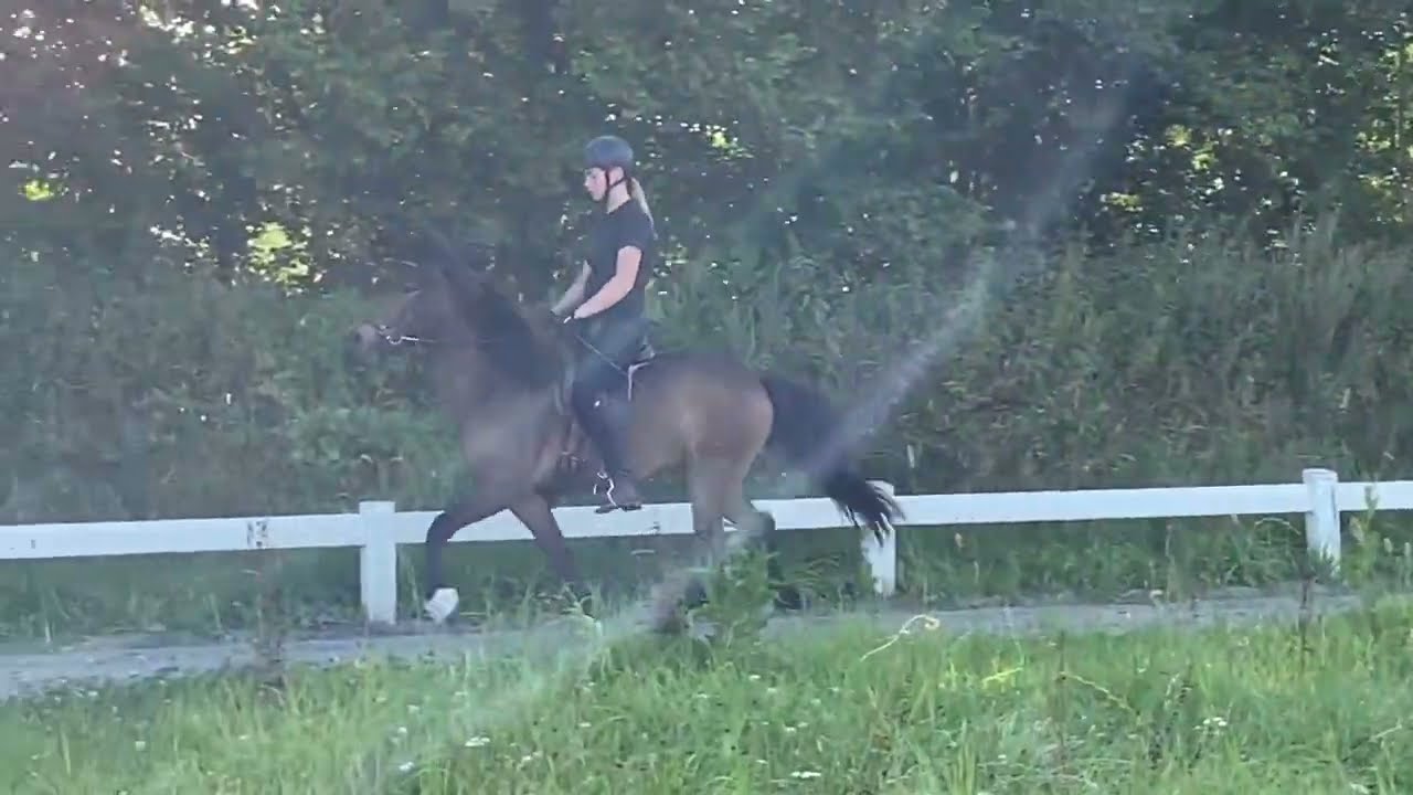 Demantur vom Heesberg