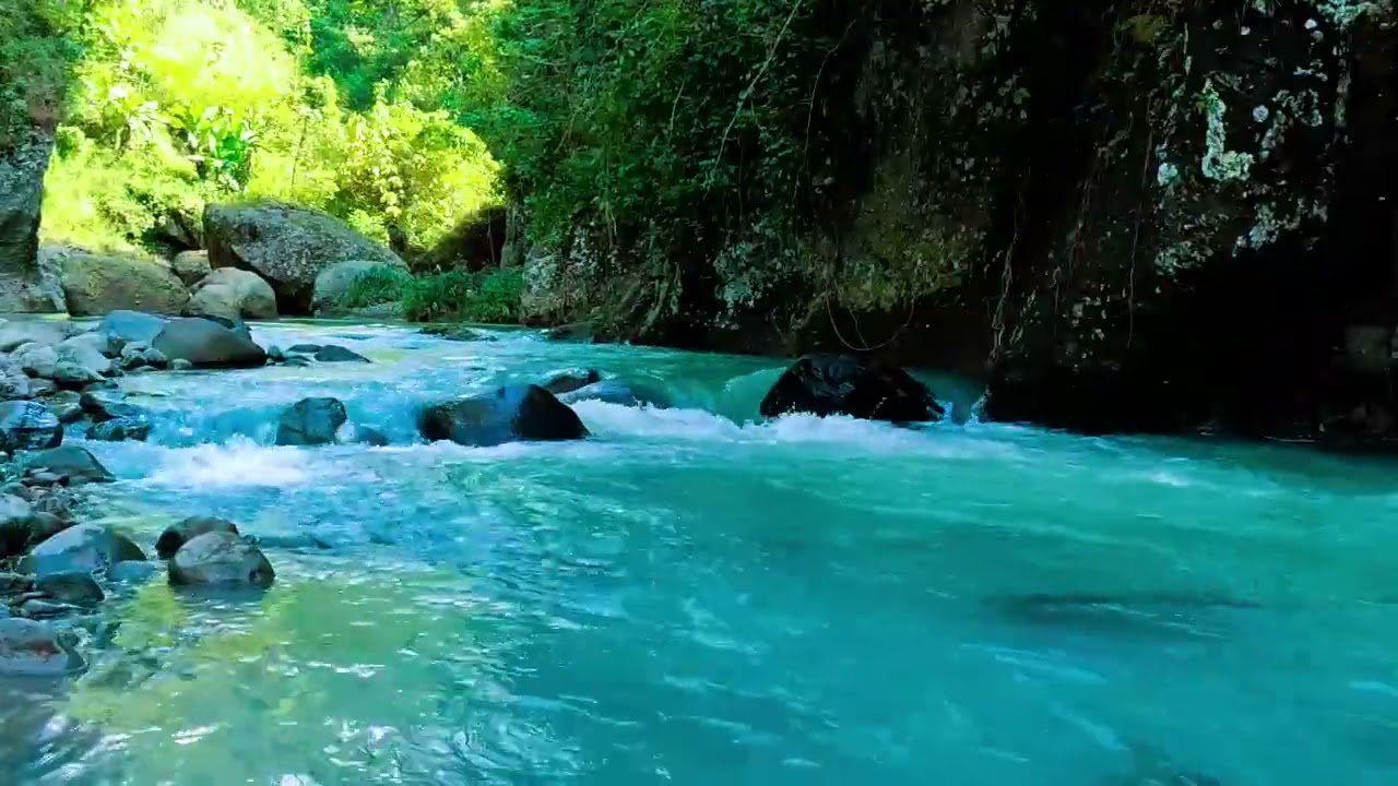 Calming Sound of Mountain River - Nature Sounds, Flowing Water, White Noise for Sleeping