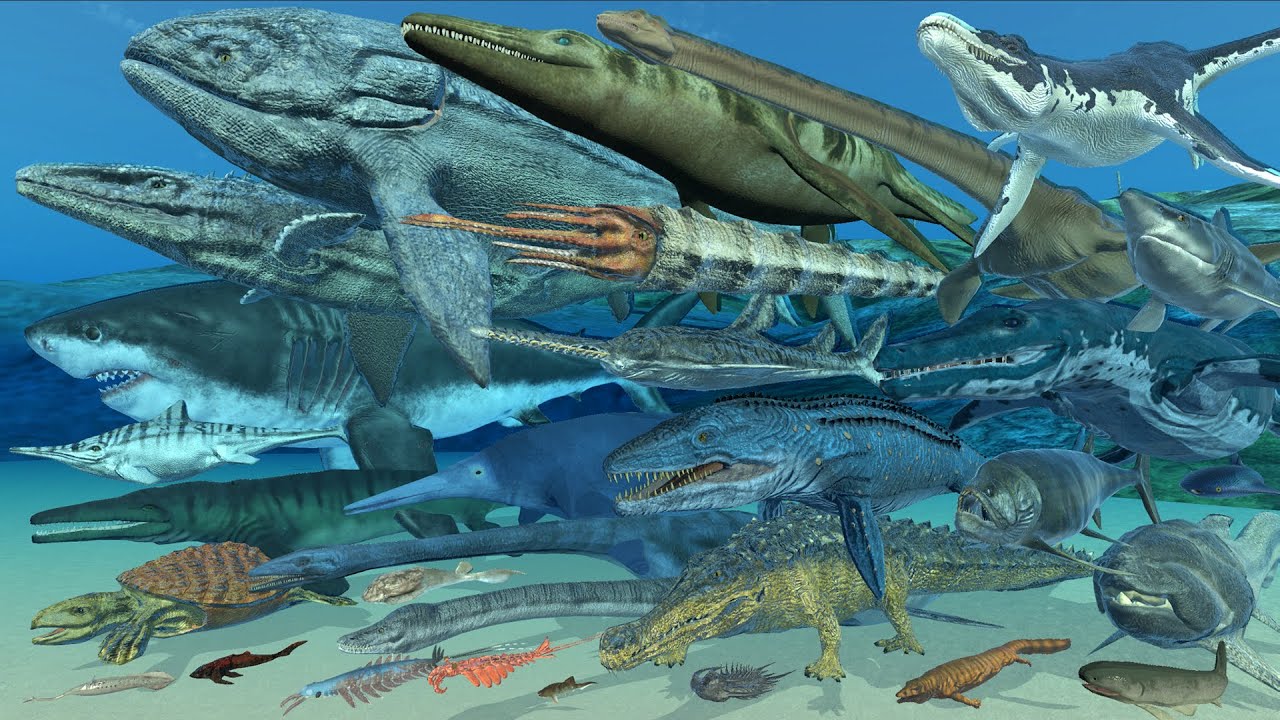 Extinct Marine Animals Size Comparison in 3D Animation | Realistic World Data