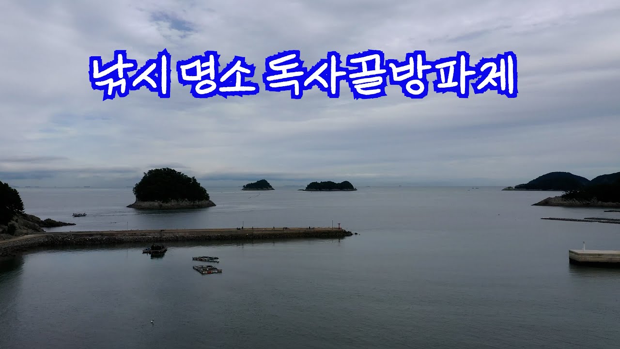 감성돔낚시 - 여수 금오도 독사골방파제 - Black Sea Dome Fishing Geumodo Island, Yeosu - KOREA #195