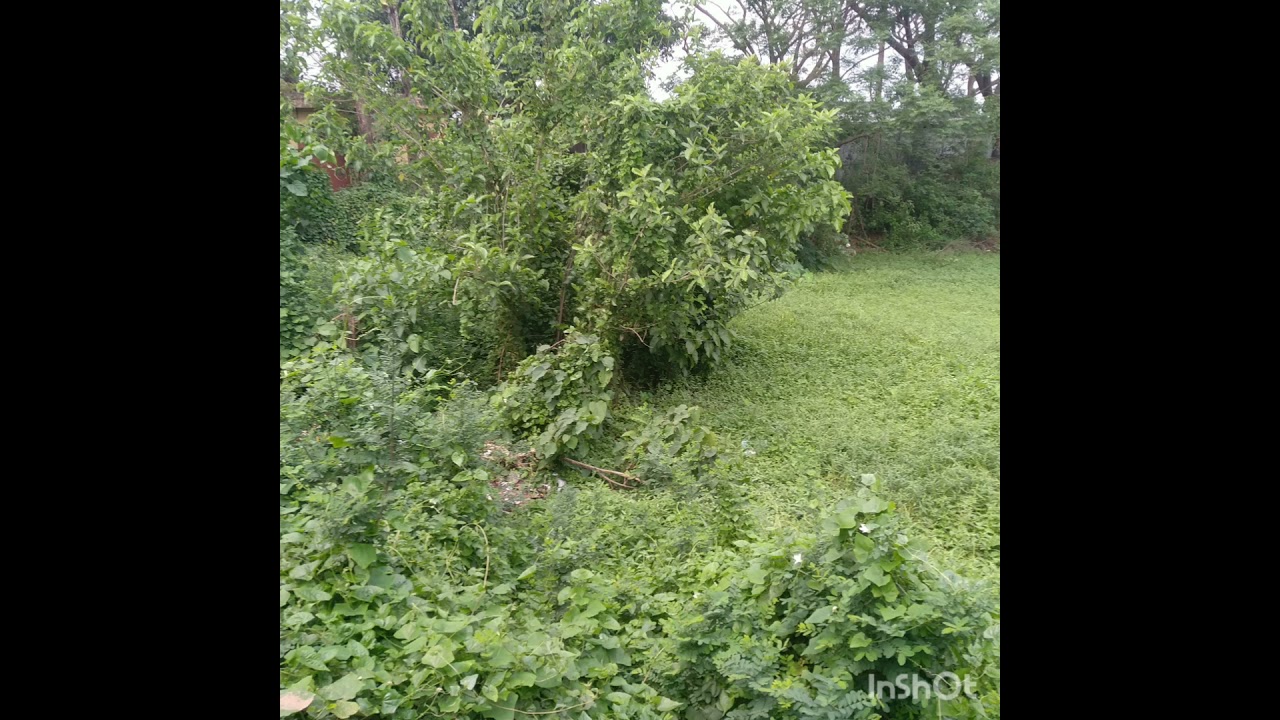 Amar shokol dukher prodip jele dibos gele korbo