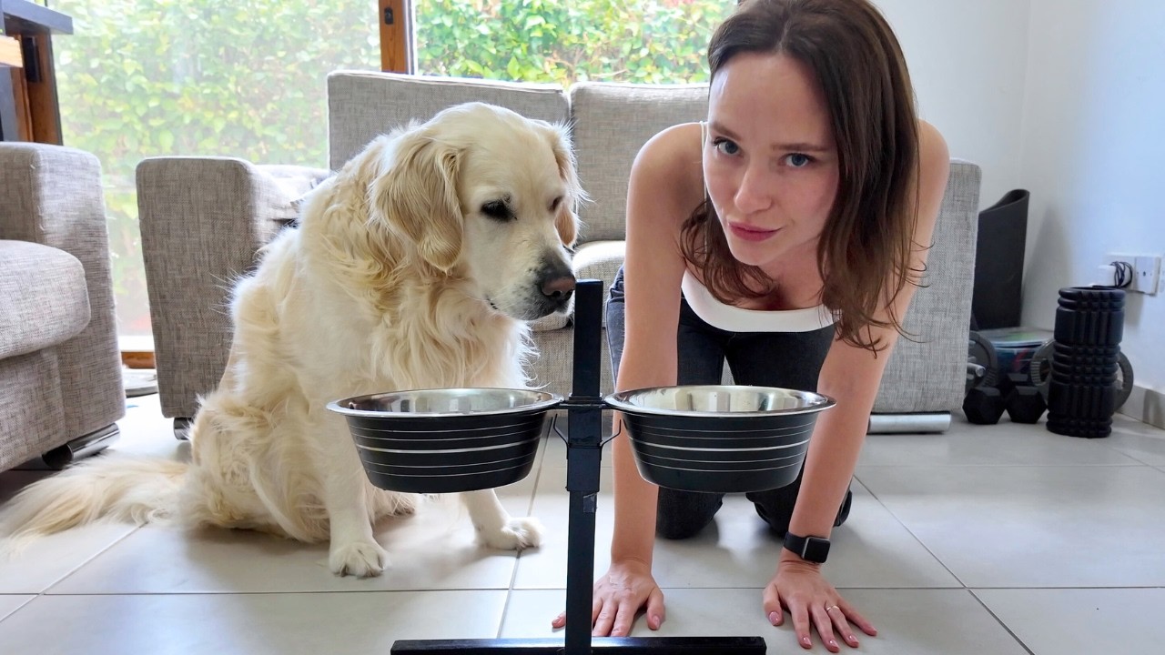 Stealing My Dog's Bed, Toys and Food