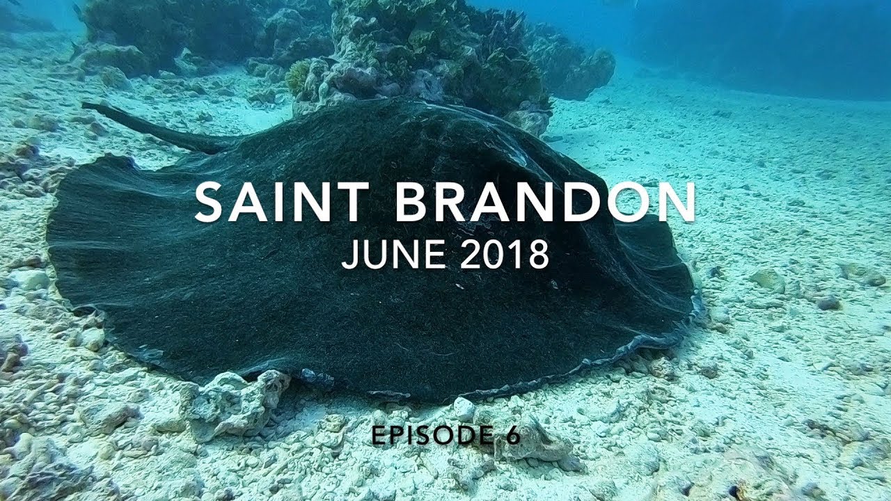 Saint Brandon. Episode 6