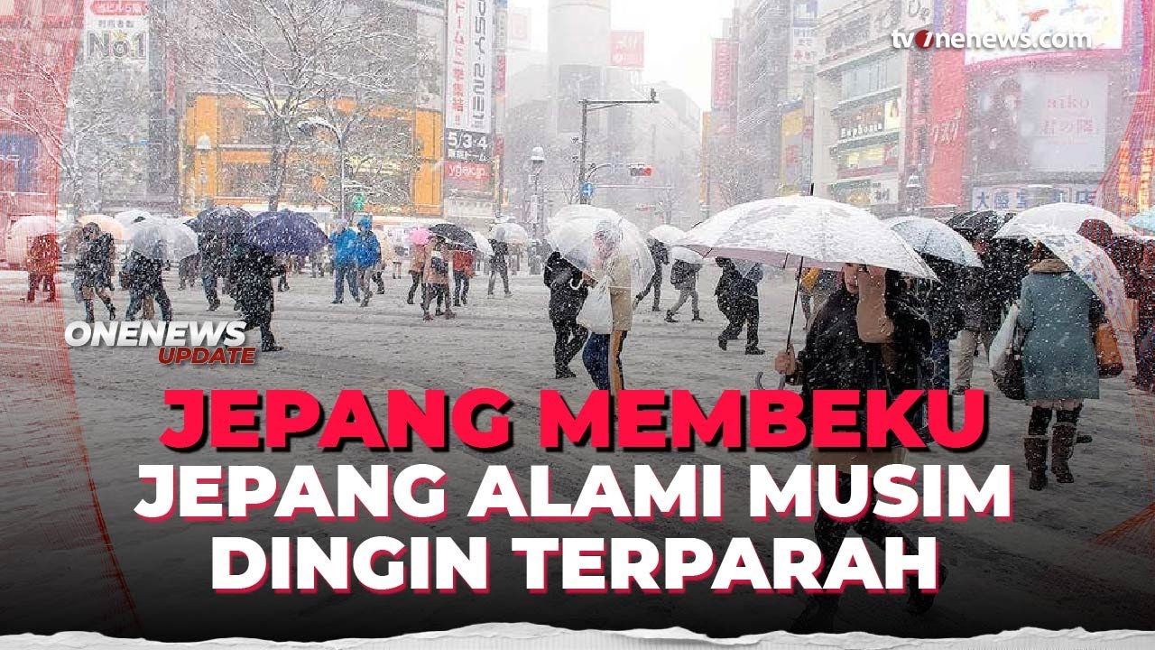 Badai Salju Mengerikan Hantam Jepang, 30 Orang Dilaporkan Tewas | OneNews Update