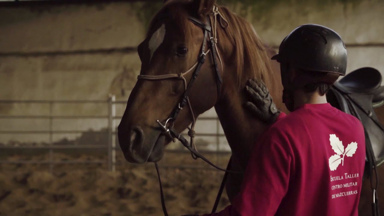 Programa Desbrave de Potros. Ibio (Cantabria) 2020