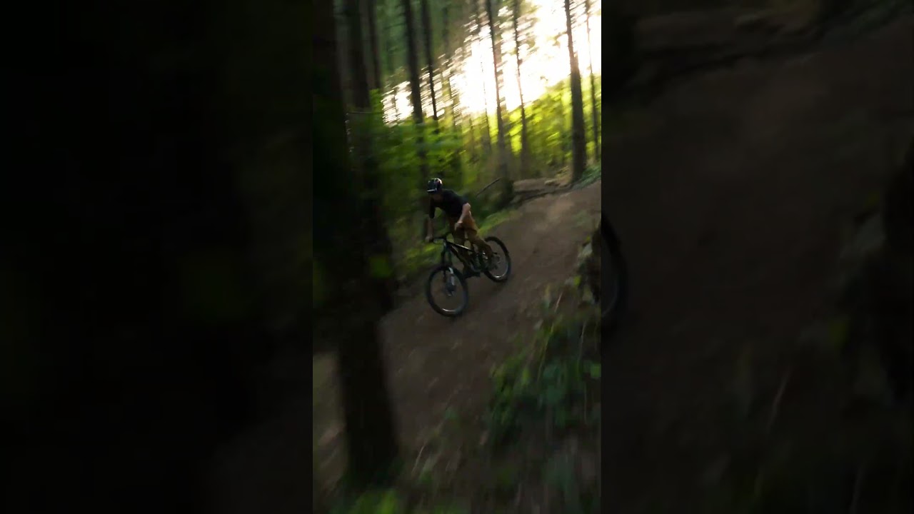 Golden Hour! Raw Clip #mtb #mountainbike #bike #forest