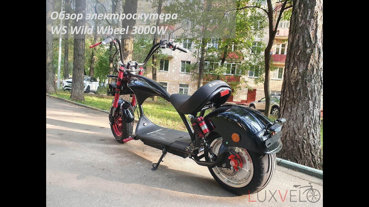 WS Wild Wheel 3000W. Лучший чоппер из CityCoco до 100 000 рублей.