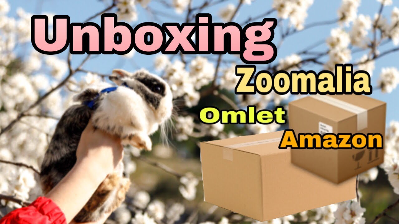 unboxing / achats : zoomalia , omlet , amazon , box lapin avril