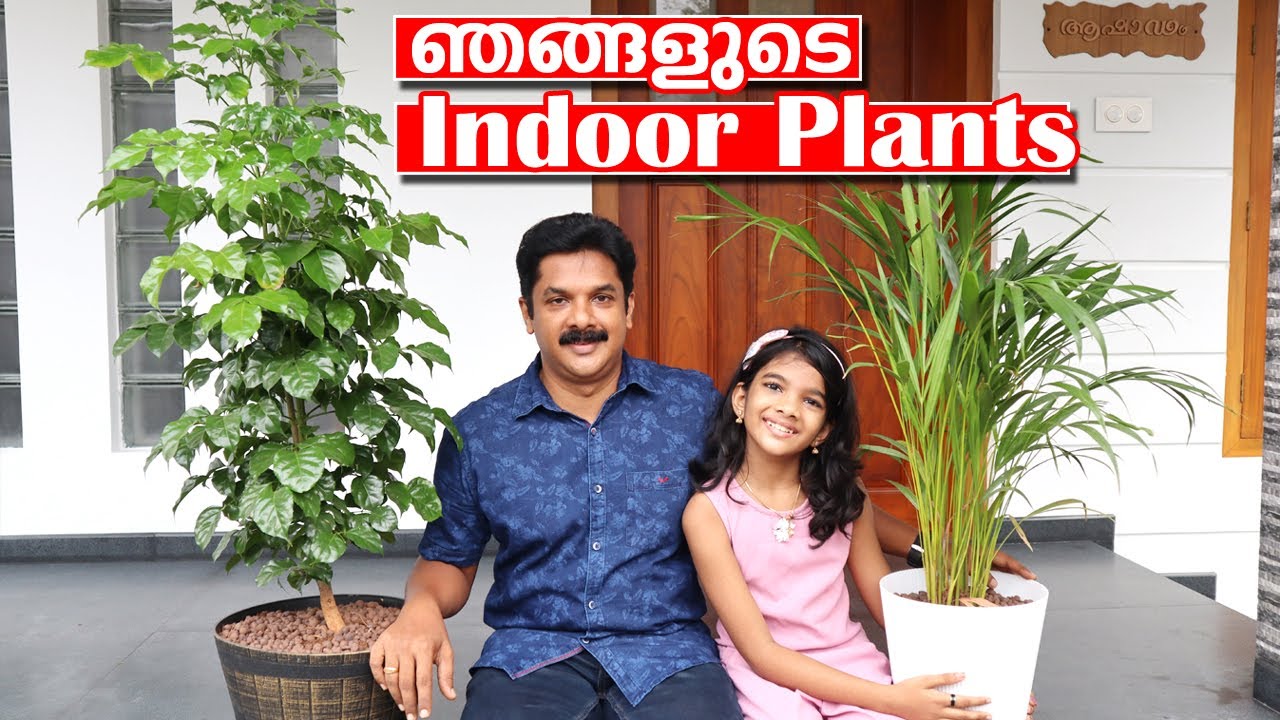 ഞങ്ങളുടെ വീട്ടിലെ ഇൻഡോർ പ്ലാൻറ്സ് കാണാം | My Dream Homes Indoor Plants | Deepu Ponnappan