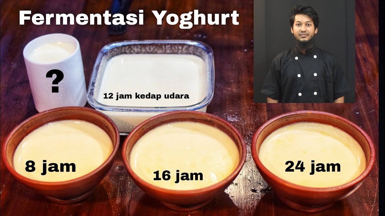 Informasi fermentasi yoghurt terlengkap dengan jam yang berbeda dan tempat yang berbeda