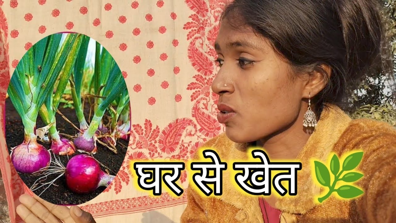 घर की ज़िंदगी और खेत का सुकून | Simple Life Vlog 