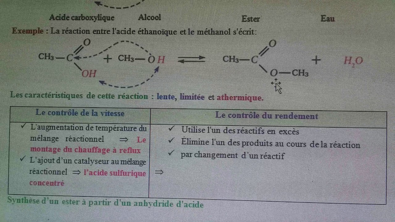 Réactions d'estérification et d’hydrolyse 1