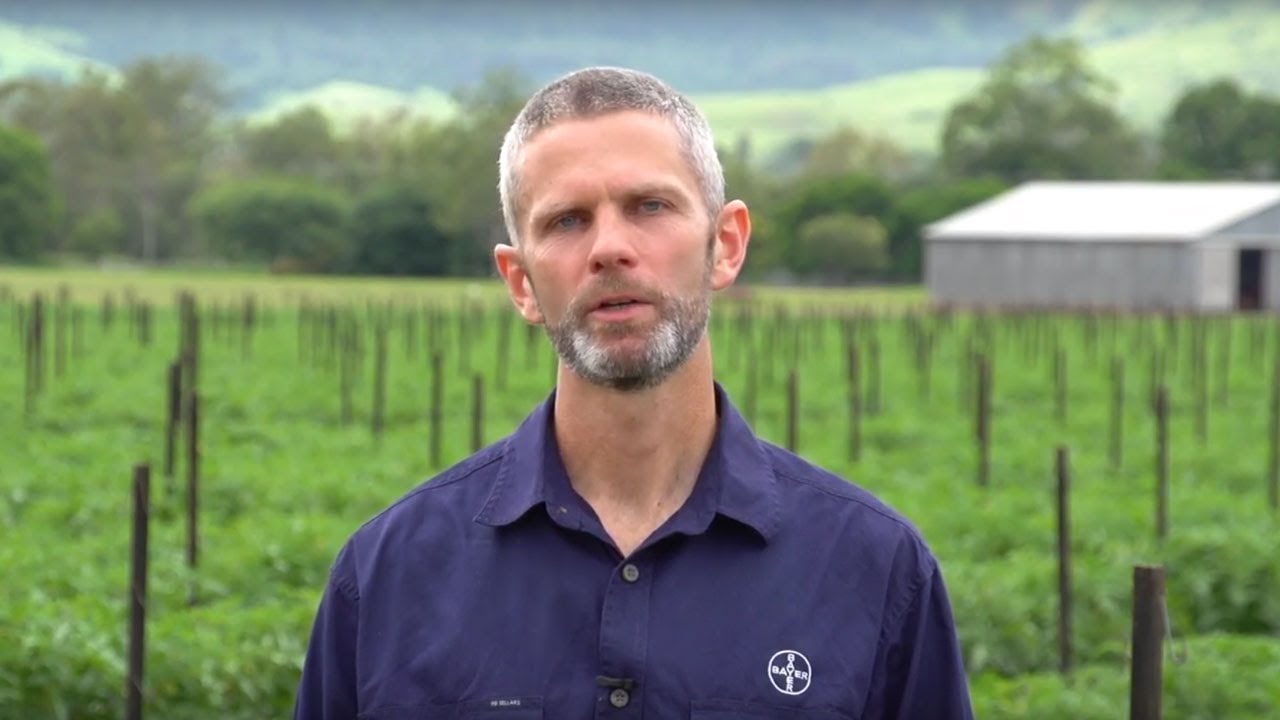 Serenade Prime – How to Apply (Vegetable Crops)