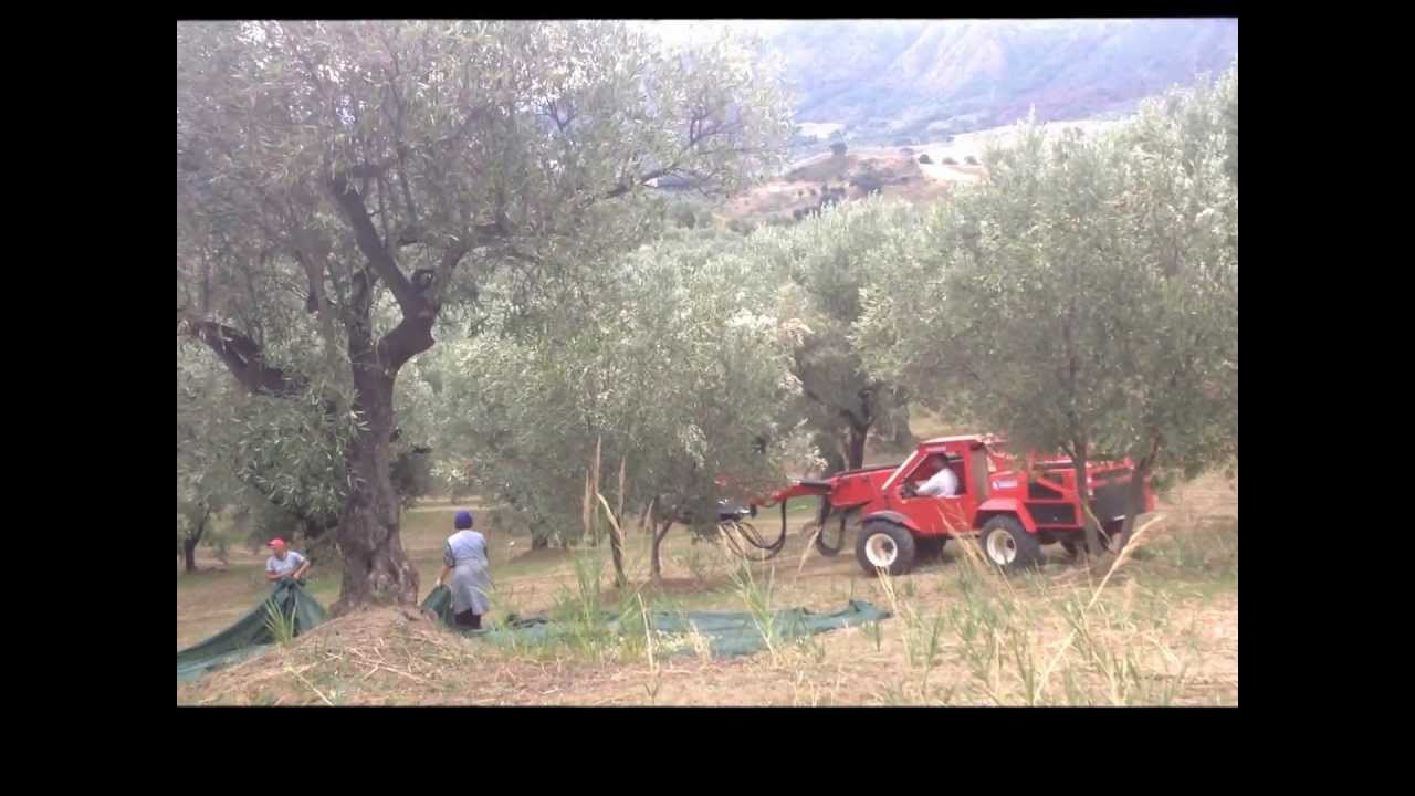 Scuotitore MAMUT M130S.wmv