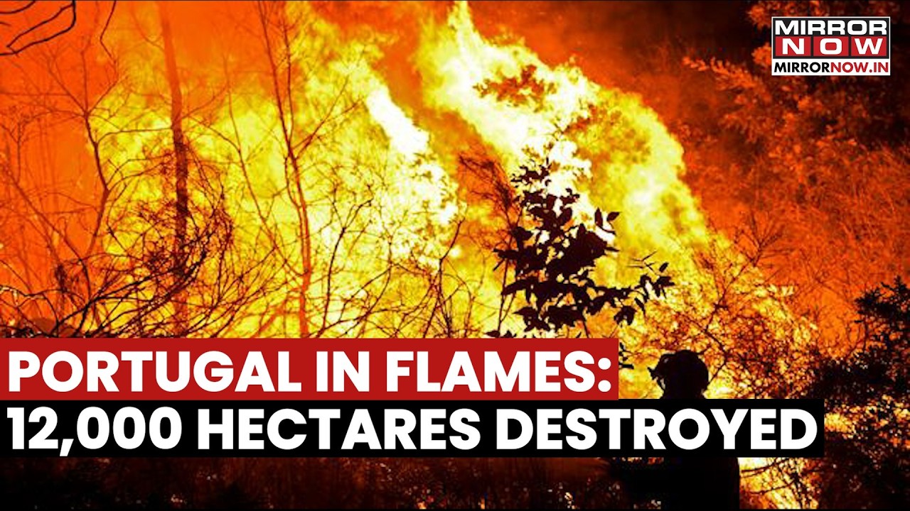 Portugal Wildfires Ravage 13,000 Hectares: Spain Sends Military Units As Blaze Goes Out Of Control