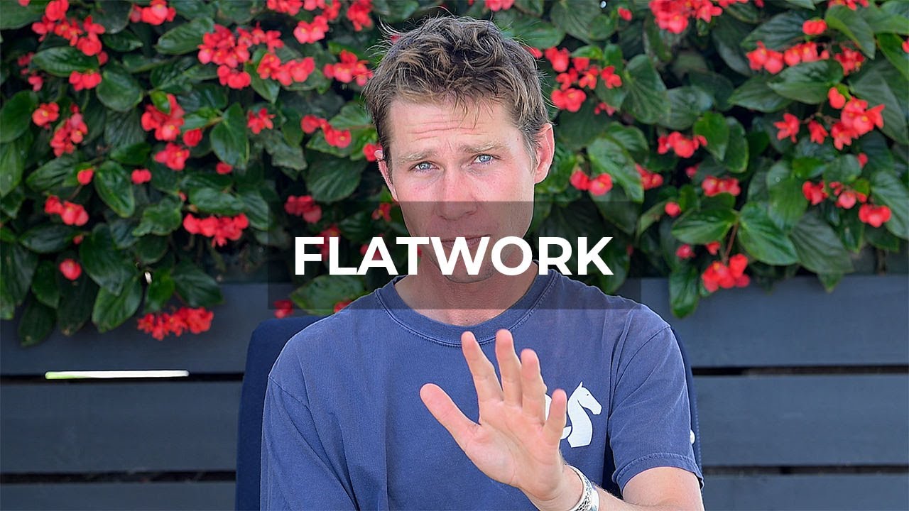 The Importance of Flatwork: Beyond Jumps, It’s About the Journey with Your Horse