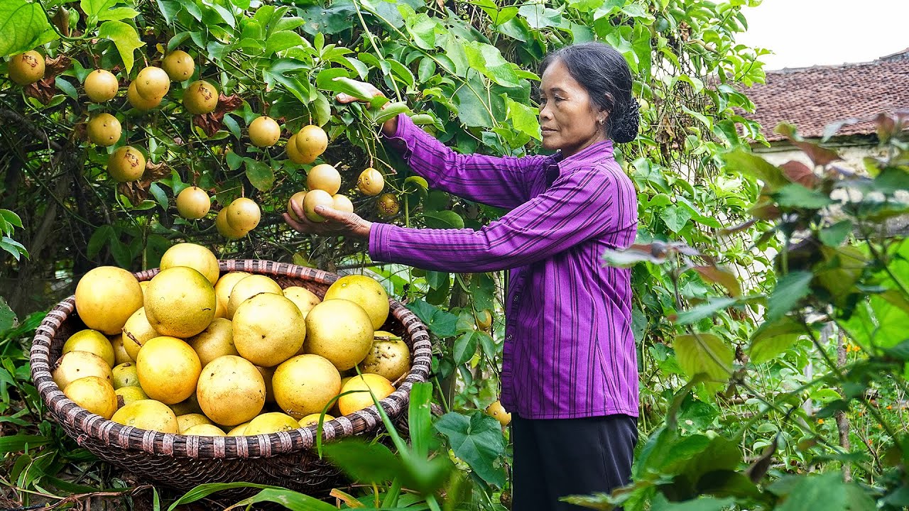 Daily Routine Village life in Vietnamese | Cooking Rural Style Food | Vietnamese Village Life