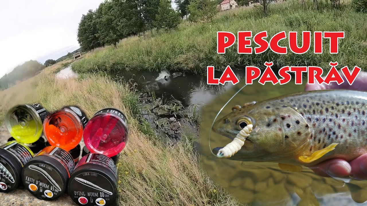 Pescuit la Pastrav 🐟 cu nalucile Libra Lures