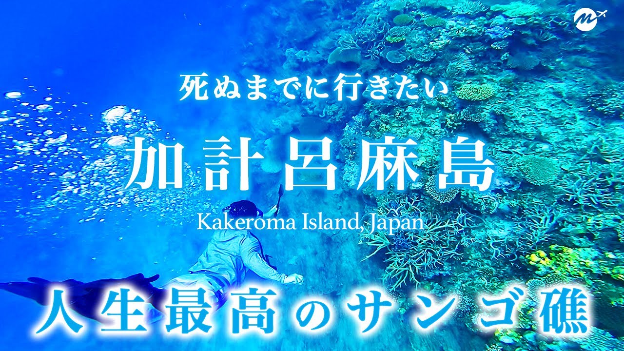 【保存版】加計呂麻島ひとり旅。奄美の秘境が最高すぎた！おすすめ絶景スポット【鹿児島・奄美群島・離島・旅行・観光・シュノーケリング】