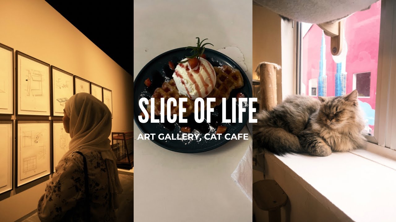 slice of life: art gallery, catching up with a friend & lots of cats